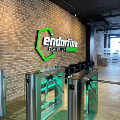 Tripod Turnstile Automatic Security Gate Neptun 6